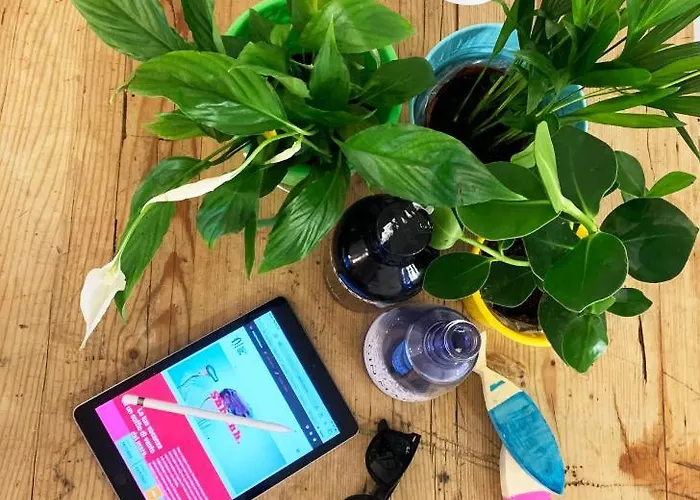 Nizza Creative Hotell 3*