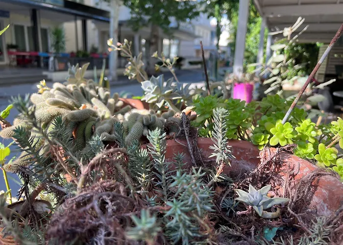 Nizza Creative Rimini