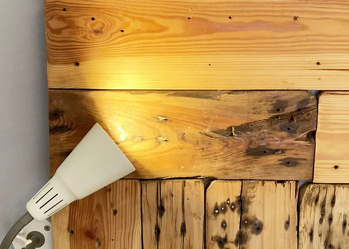 Nizza Creative Hotell