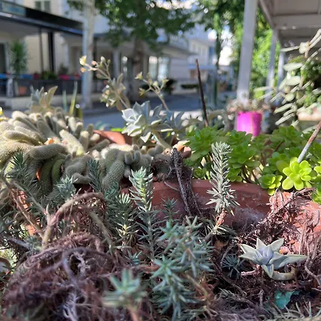 Nizza Creative Rimini