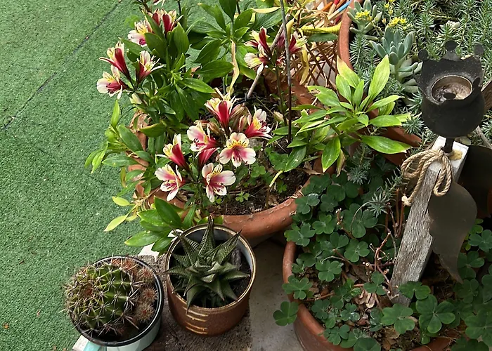 Nizza Creative Hotel