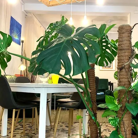 Nizza Creative 3* 里米尼