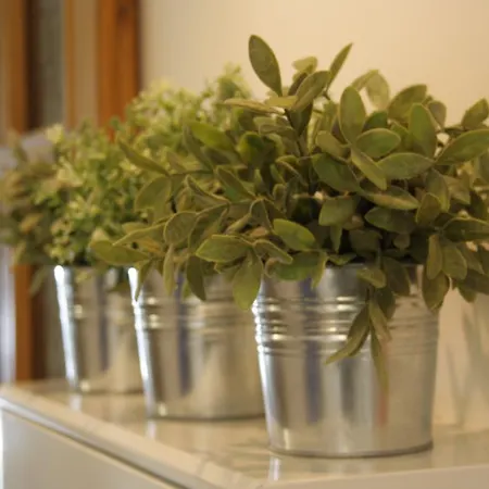 酒店 Nizza Creative