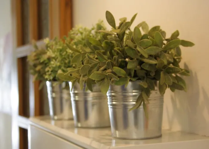 Hotell Nizza Creative